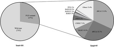 Hereditary Breast Cancer in the Brazilian State of Ceará (The CHANCE Cohort): Higher-Than-Expected Prevalence of Recurrent Germline Pathogenic Variants